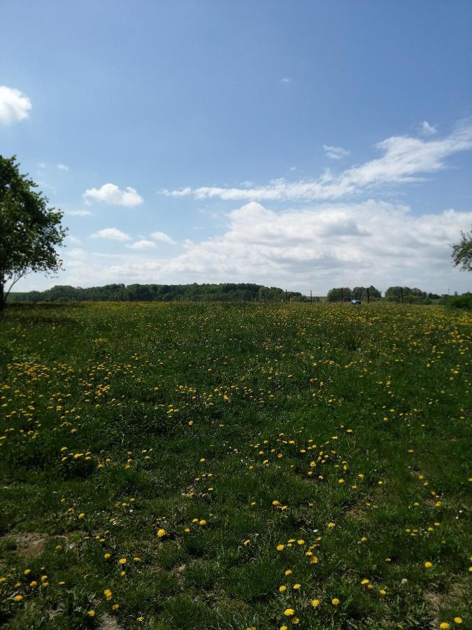 Nad Wilczym Potokiem Bauernhof *